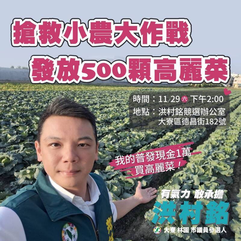 大寮高麗菜量大 洪村銘︰普發1萬買500顆11/29免費發