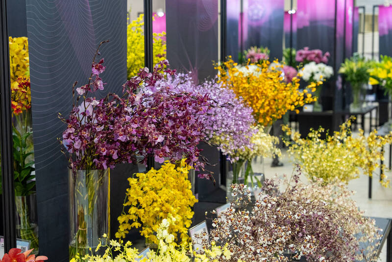 台灣花卉推介會花爭豔館博登場  免門票就能賞花