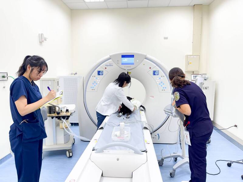 獅虎都能掃！屏科大獸醫教學醫院CT床台 全台最大可荷重300公斤