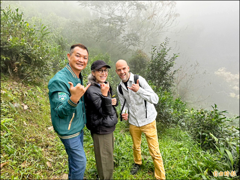 六龜山茶奪世界金獎 評審團走訪大開眼界