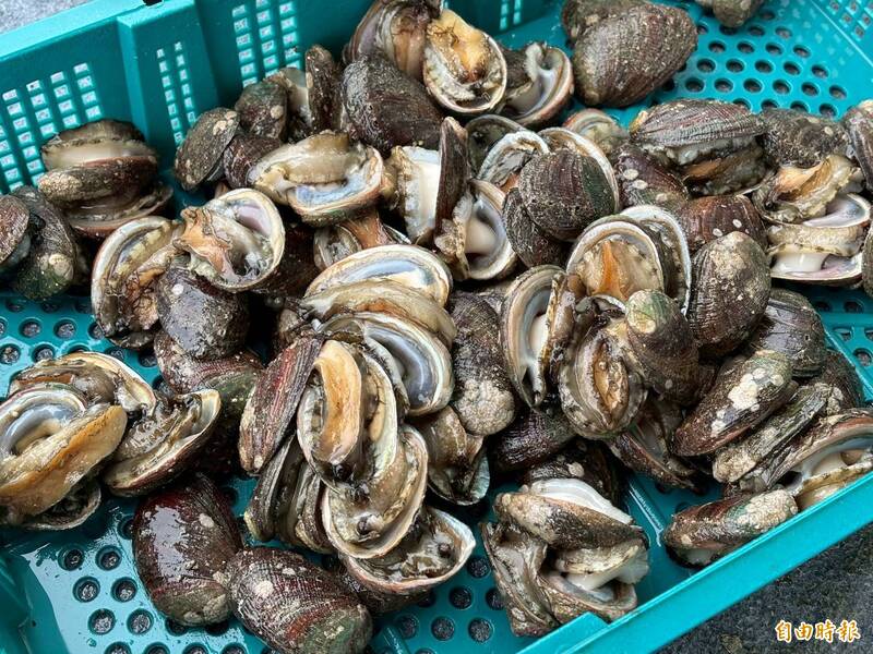 新北貢寮鮑搶鱻展售11/29起登場 料理示範、試吃、福袋一次到位