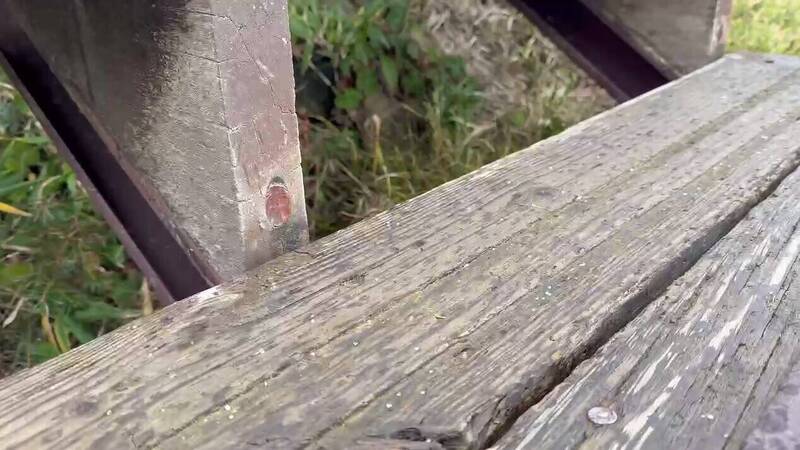 雪白冰珠紛落！合歡山濕冷下冰霰