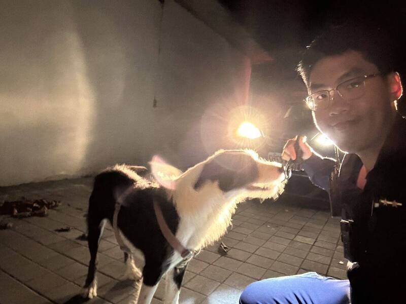 晚餐麵包「騙」到手 邊牧走失餓壞被台東警送回家