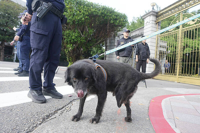 《TAIPEI TIMES》 Animal advocacy group seeks to ban snare traps