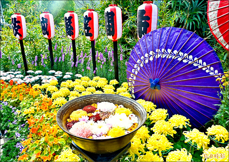 15大主題展區 士林官邸菊展登場