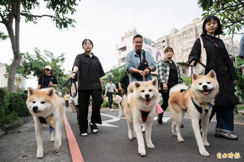高雄「好伴狗狗吹狗螺」 秋田犬大遊行、黑狗快閃千人同樂
