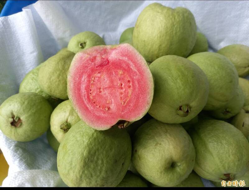 香蕉、高麗菜價崩 芭樂量少逆勢成市場明星