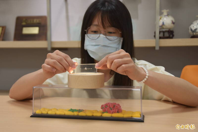 實驗動物減量成國際趨勢 國研院用器官晶片、仿生教具減少犧牲