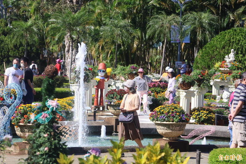 士林官邸菊展開展！ 遊客自備笛子和聲奏樂 蜜蜂飛舞駐足向日葵