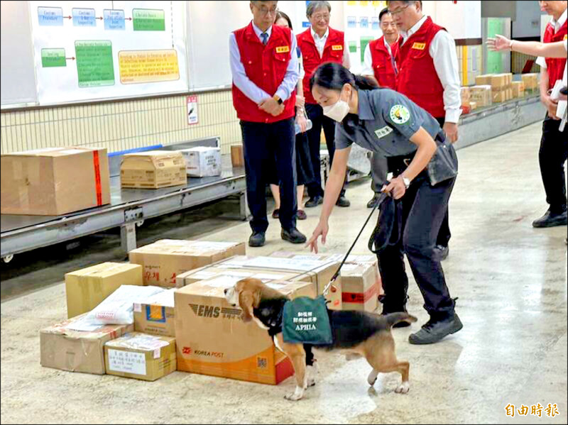 西班牙爆非洲豬瘟 農業部：禁產品輸台