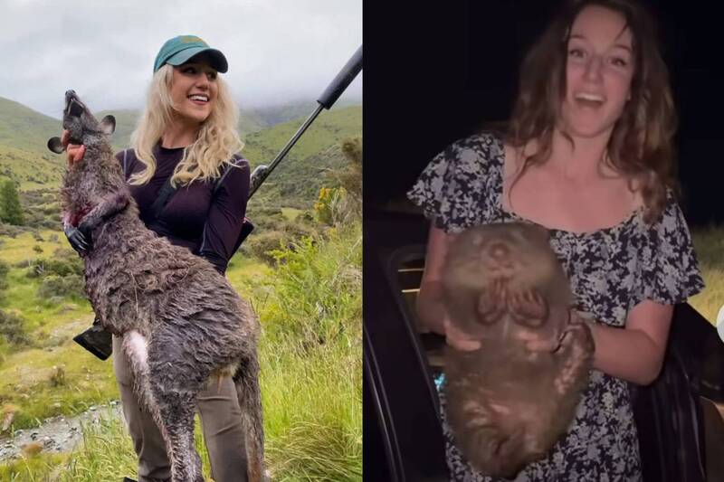 3月赴澳硬搶袋熊寶寶挨轟 美國網紅「涉嫌非法狩獵」被逮入獄