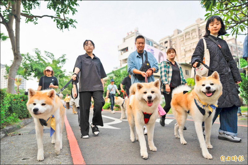 秋田犬遊行、黑狗快閃 高雄千人同樂