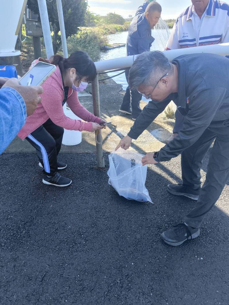 全聯台灣鯛魚排檢出動物用藥  雲林養殖場業者喊冤「沒有使用」