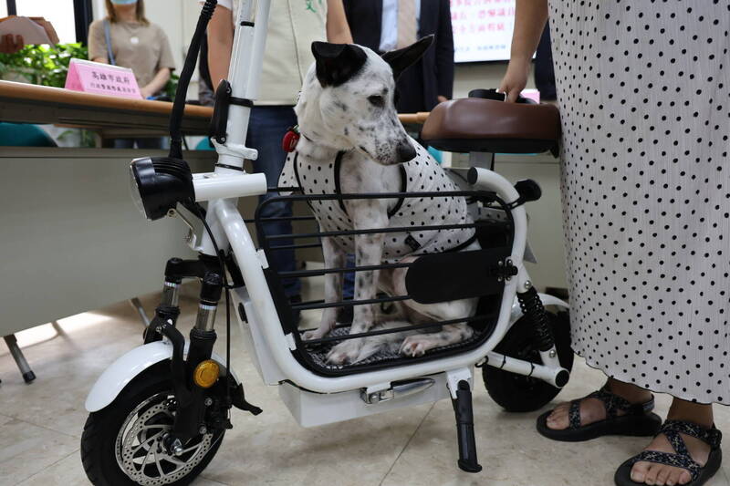 「寵物電動車」未審驗上路挨罰 桃市消費者提告業者詐欺