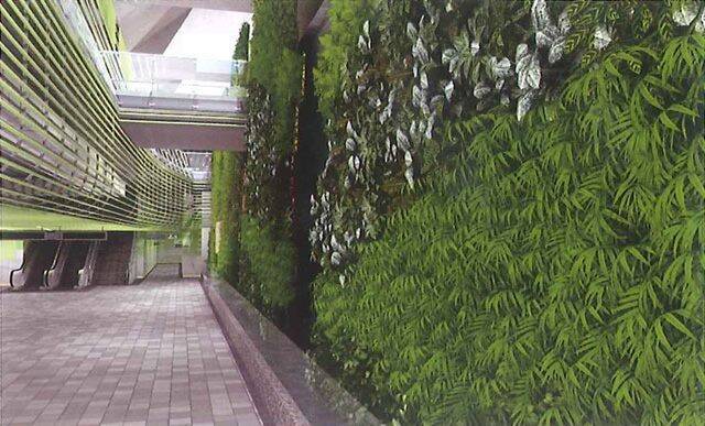 萬大線永和永平國小站內植生牆難維護 北捷局：評估其他裝修方案