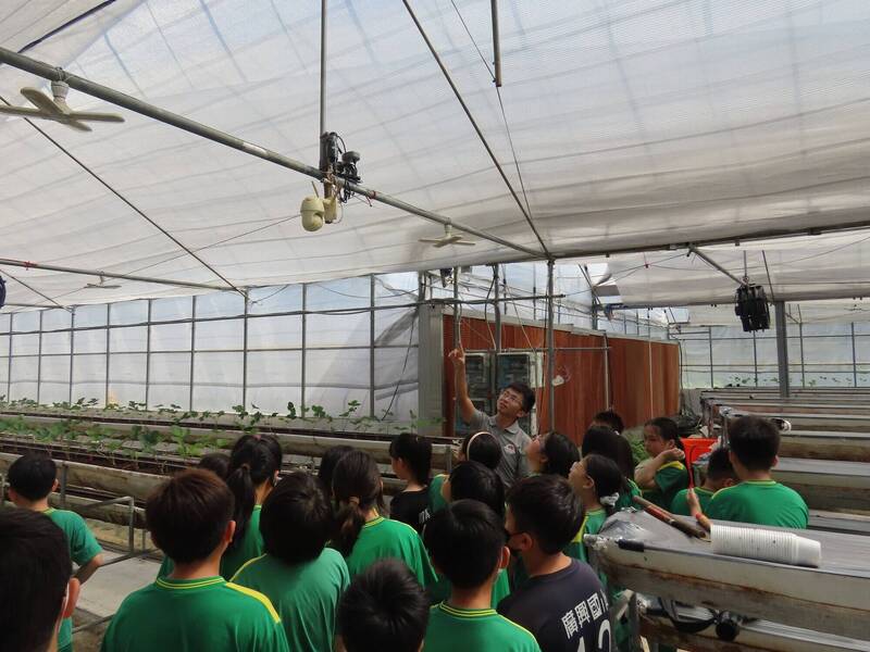 草莓園變教室！桃園廣興國小食農課程 「水簾降溫」科技成教材