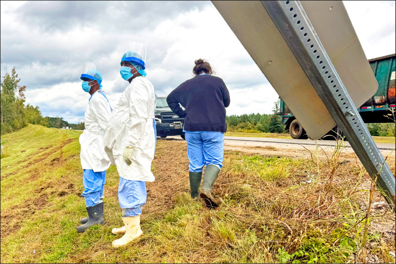 中英對照讀新聞》Search is on for 3 escaped monkeys after truck overturns on Mississippi highway 密西西比州公路發生卡車翻車事故，3隻猴子逃脫，目前正在搜尋