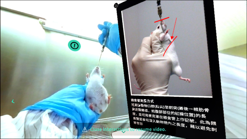 台大首創VR教案 模擬小鼠抽血