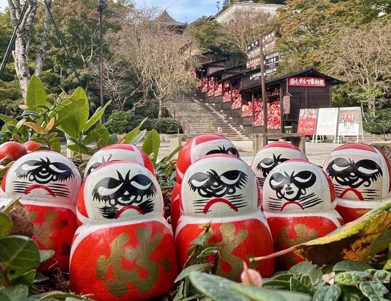 台灣遊客亂拿達摩？ 大阪勝尾寺「官網社群圖文」狠打臉小粉紅