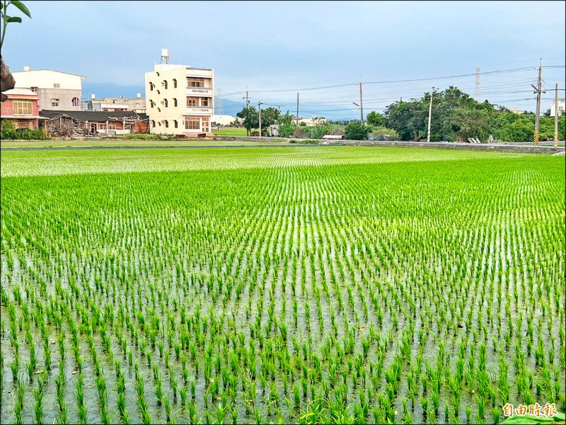 雲林國土分區今審議 縣府籲農1農2合併