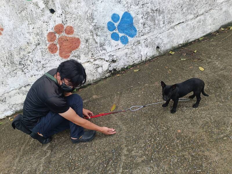 五股動物之家訓練師以氣味安撫收容犬 找回安全感迎向新家