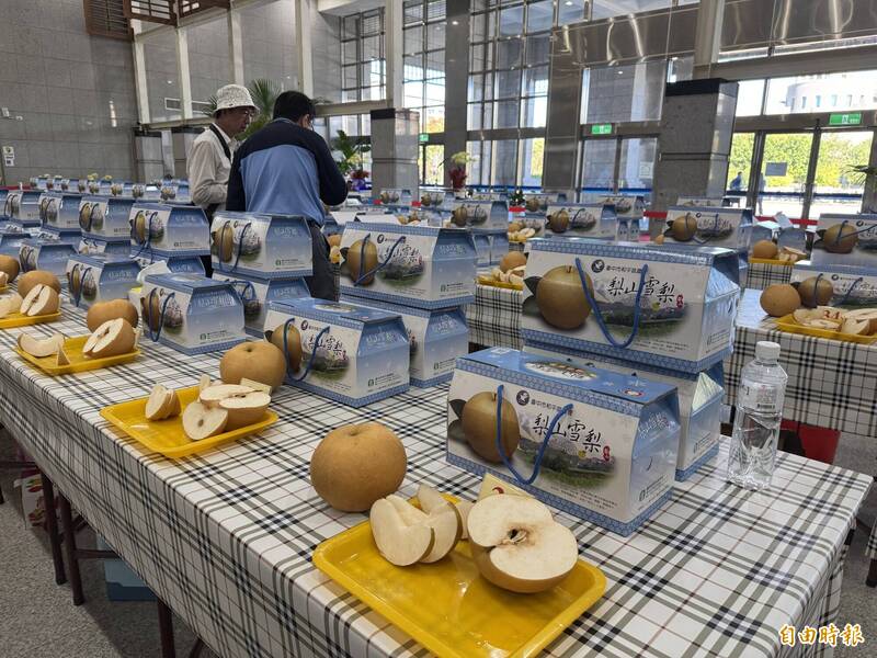 中市優質雪梨果品評鑑 和平區農友汪源杉奪雪梨王