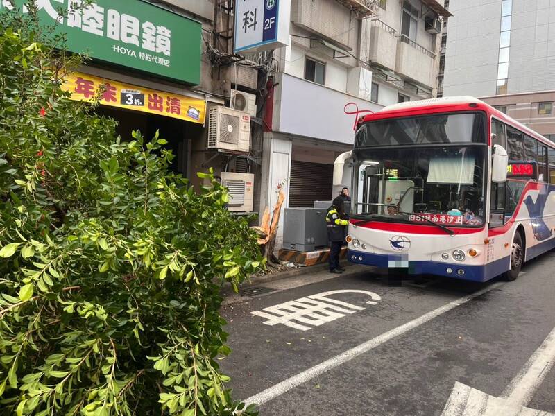 大台北公車新店靠站撞斷路樹 嚇壞乘客與等車民眾