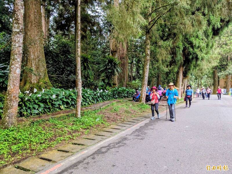 漲太兇？算便宜？溪頭年票漲至3000元網戰翻