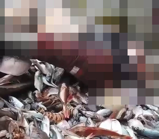 彭佳嶼捕魚驚見男浮屍 疑富貴角翻覆漁船外籍漁工