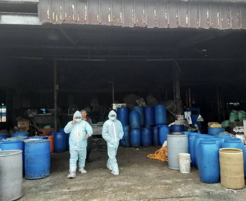 台中明年廚餘養豬現場稽查加嚴 每2週1次