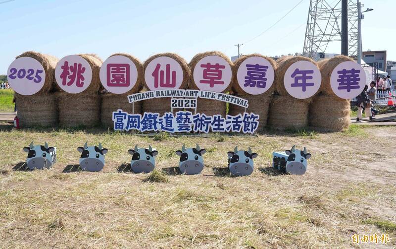 桃園仙草嘉年華人潮破123萬人次 活動倒數、紫色仙草花爆開超美