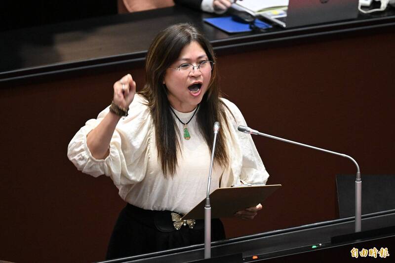 想選台中市長標記黃國昌、柯文哲！ 麥玉珍稱：我願站出來是因感恩黨