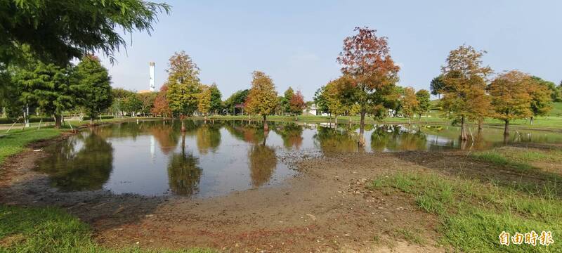 冬日限定！台中后里落羽松披彩衣 網美拍照秘境報你知