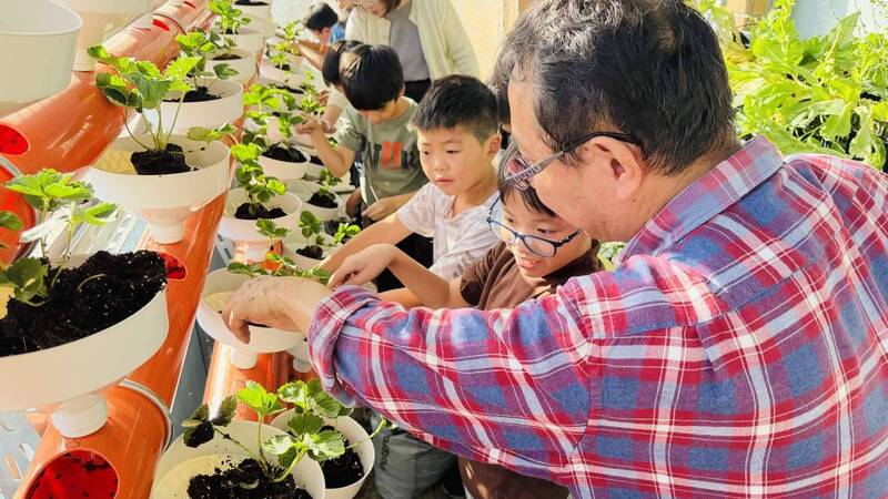 智慧農業走進校園 雲縣打造首座潮汐式水耕場域