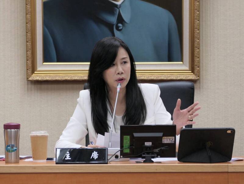 出任國民黨副祕書長兼婦女部主任 萬美玲：打造最溫暖的女力平台