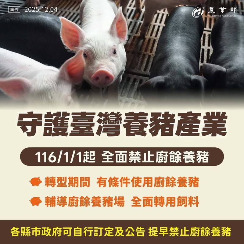 有條件廚餘養豬並1年落日 農業部輔導豬農全面使用飼料