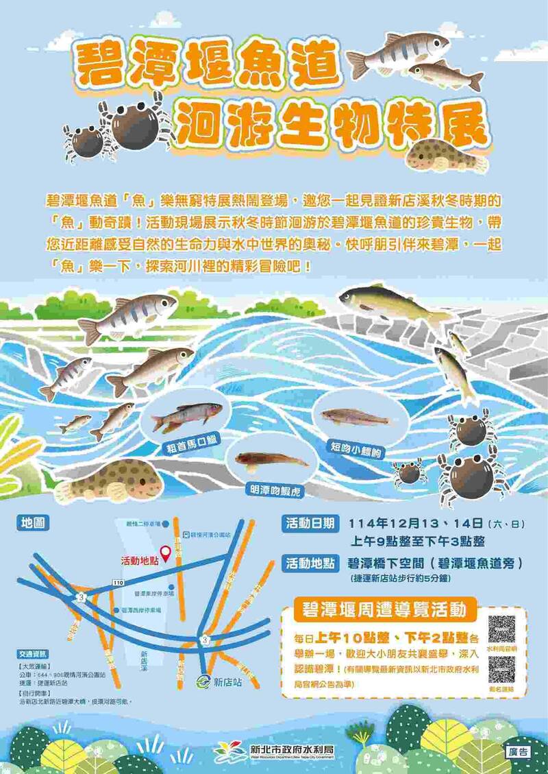 碧潭堰「魚」你相遇！12/13、12/14舉辦秋冬洄游生物特展- 生活- 自由