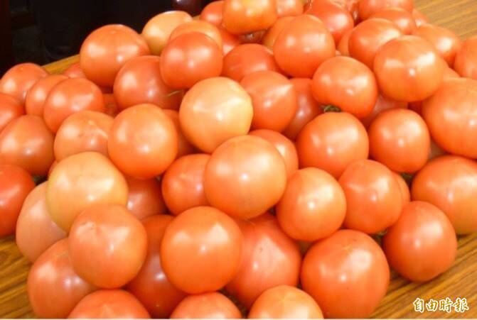 芎林番茄節12/6、7登場 搭幸福巴士、騎YouBike來玩有賞