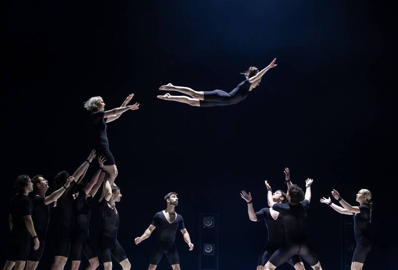 來衛武營看馬戲團！12/5~14雜耍特技盡出 榕樹廣場4檔免費演出