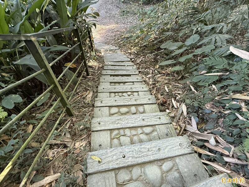 龍過脈步道大變身!600萬元整修完工 山友讚更好走、更安全