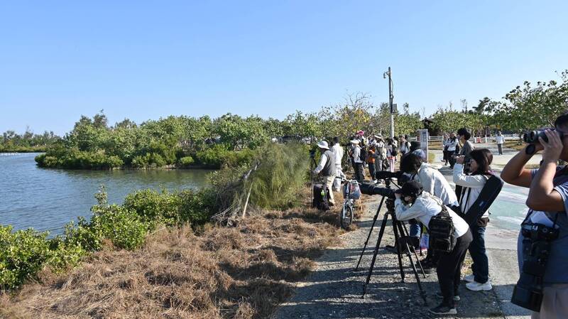 台灣國際觀鳥馬拉松邁向第13屆 參賽人數創新高