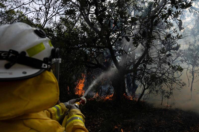 熱浪助野火吞噬林地 澳洲新南威爾斯州數千居民撤離