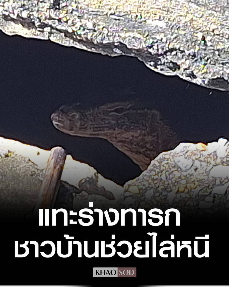 泰國19歲小媽媽狠心遺棄嬰兒裝袋扔 竟遭巨蜥啃食