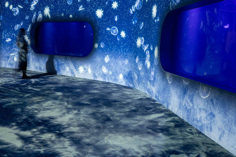 耶誕節將近，台中海洋館推出最夢幻的「海洋冰雪耶誕」！（台中海洋館提供）