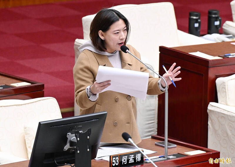 陳玉珍提助理費除罪化 何孟樺:嘴上喊重視勞權 刀刀砍向助理權益