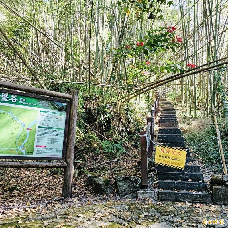 阿里山石盤谷吊橋封閉 楓紅層層只能「孤芳自賞」