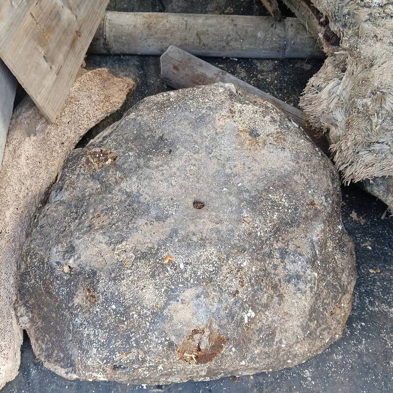 石頭雖重達十五公斤，但質地很輕。（柯蔘海提供）