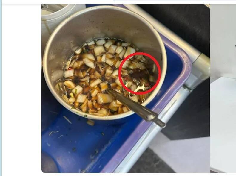 台南牛肉湯店醬料桶驚見整隻蟑螂「漂浮」 衛生局限期改善