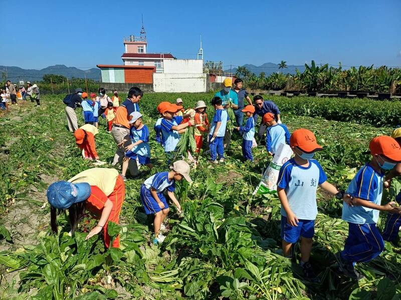 高雄2國小城鄉交流共學 食農教育體驗拔蘿蔔