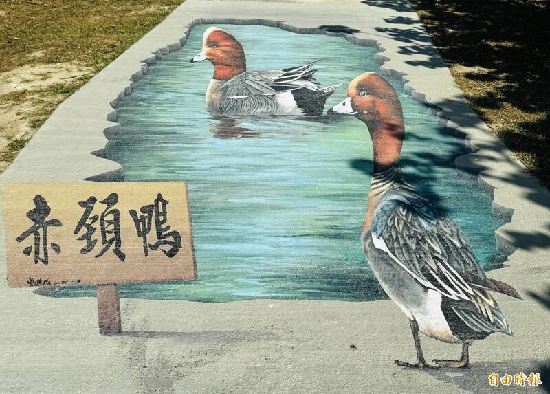 嘉義布袋濕地步道驚現逼真候鳥3D彩繪 令人嘆為觀止